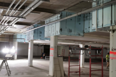 IMG_20201107_082115-scaled